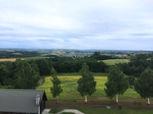 北海道の景色